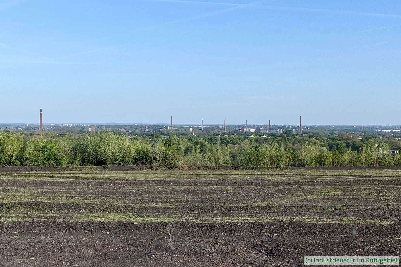 Von der Schurenbachhalde aus hat man einen Blick auf das UNESCO-Welterbe Zollverein, 03.05.2023