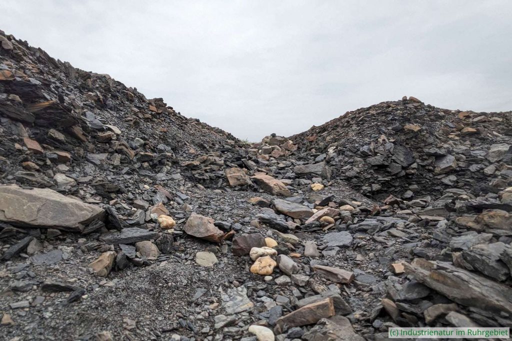 Ablaufrinne im Bergematerial auf dem Haldenplateau der Schurenbachhalde, 27.07.2024