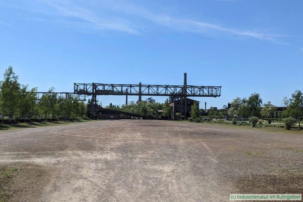 Offene Fläche mit Rohboden im Landschaftspark Duisburg-Nord, 10.05.2025