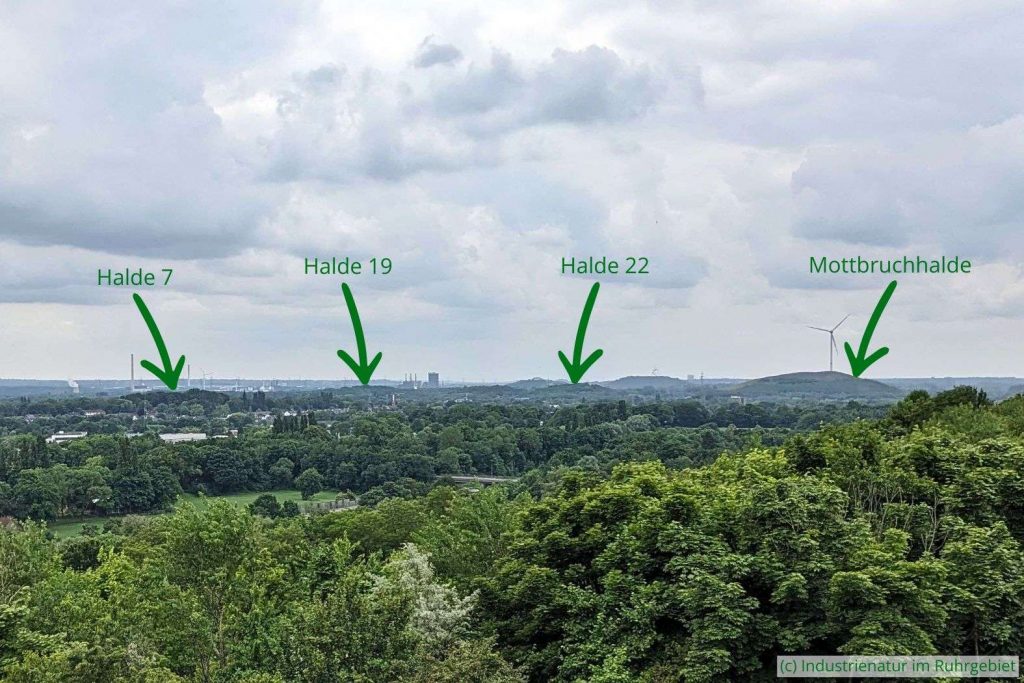 Die „Braucker Alpen“ von der Halde Rungenberg aus gesehen, 09.06.2025