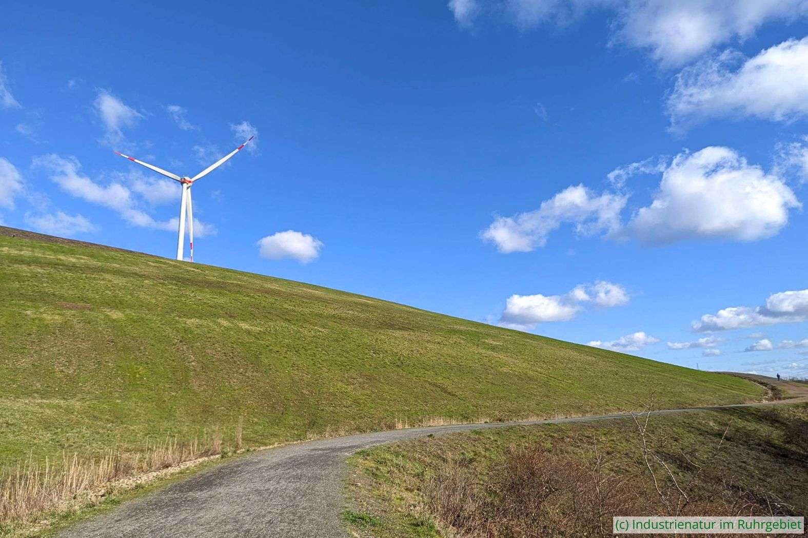 Die Mottbruchhalde im Spätwinter, 26.02.2023