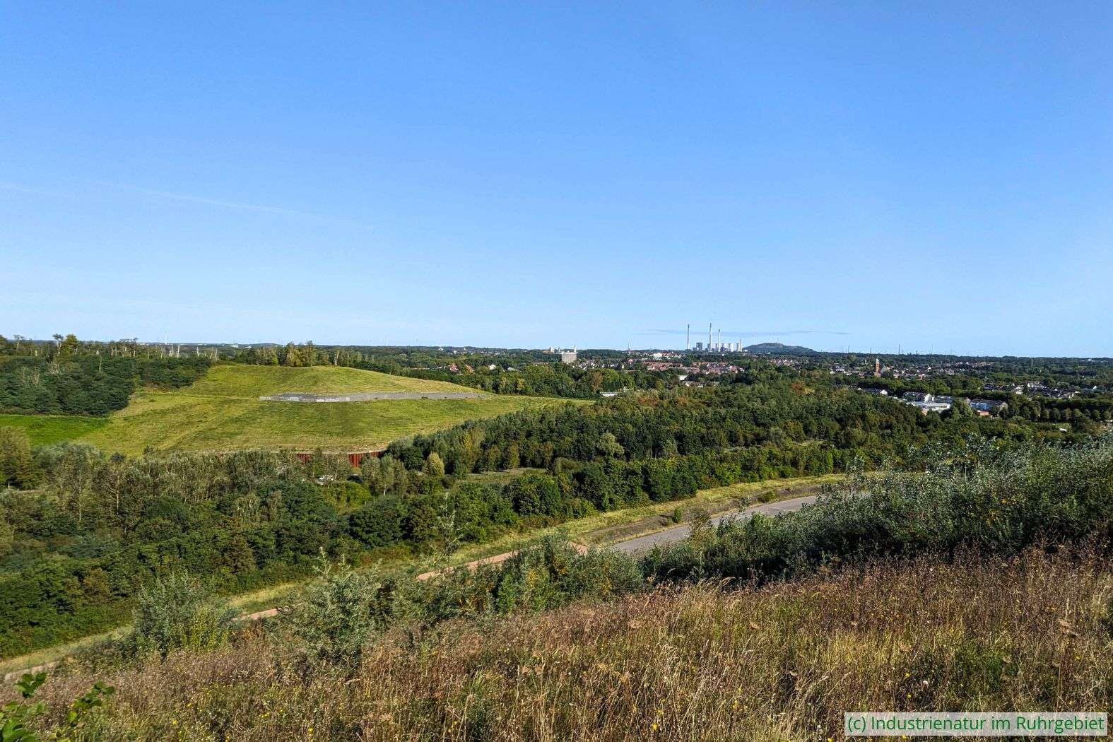 Halde Graf Moltke III/IV (li), daneben die Halde im Brauck und weit entfernt im Hintergrund die Halde Oberscholven, gesehen von der Mottbruchhalde aus, 14.09.2024