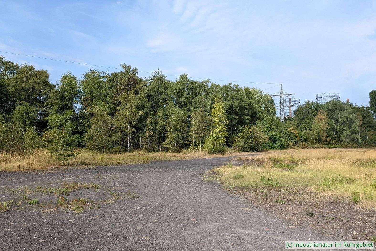 Südlicher Rohbodenbereich auf der Halde im Skulpturenpark, UNESCO-Welterbe Zollverein, 31.08.2022
