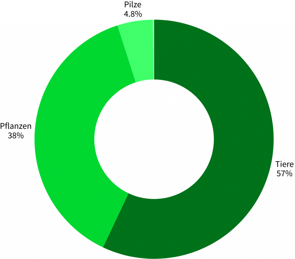 Artengruppenstatistik Mottbruchhalde