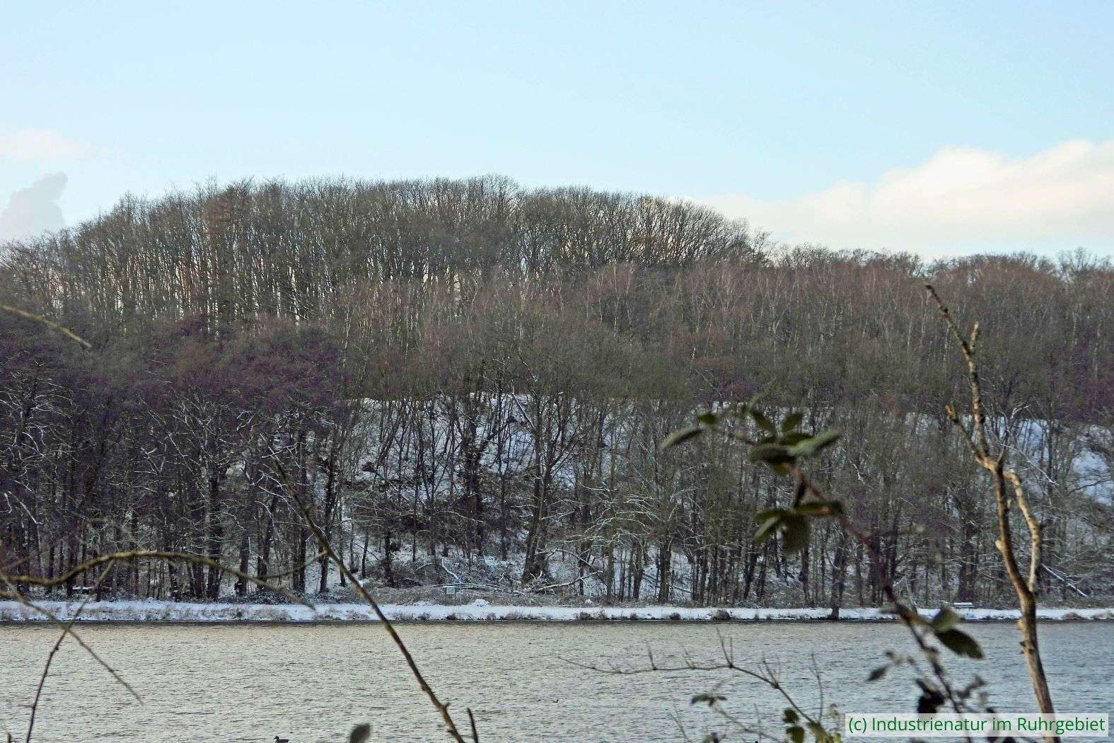 Die Halde Pörtingsiepen im Winter, aufgenommen vom gegenüberliegenden Ruhrufer aus am 18.01.2024