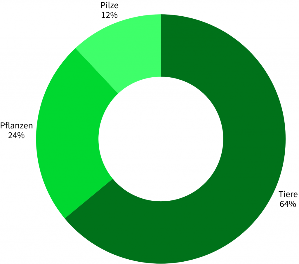 Artengruppenstatistik Halde Pörtingsiepen