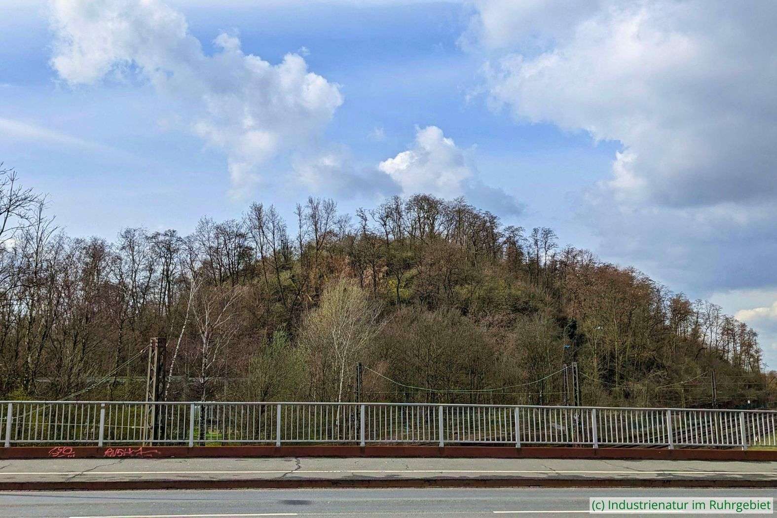 Die Spitzkegelform der Knappenhalde ist deutlich erkennbar, 28.03.2023