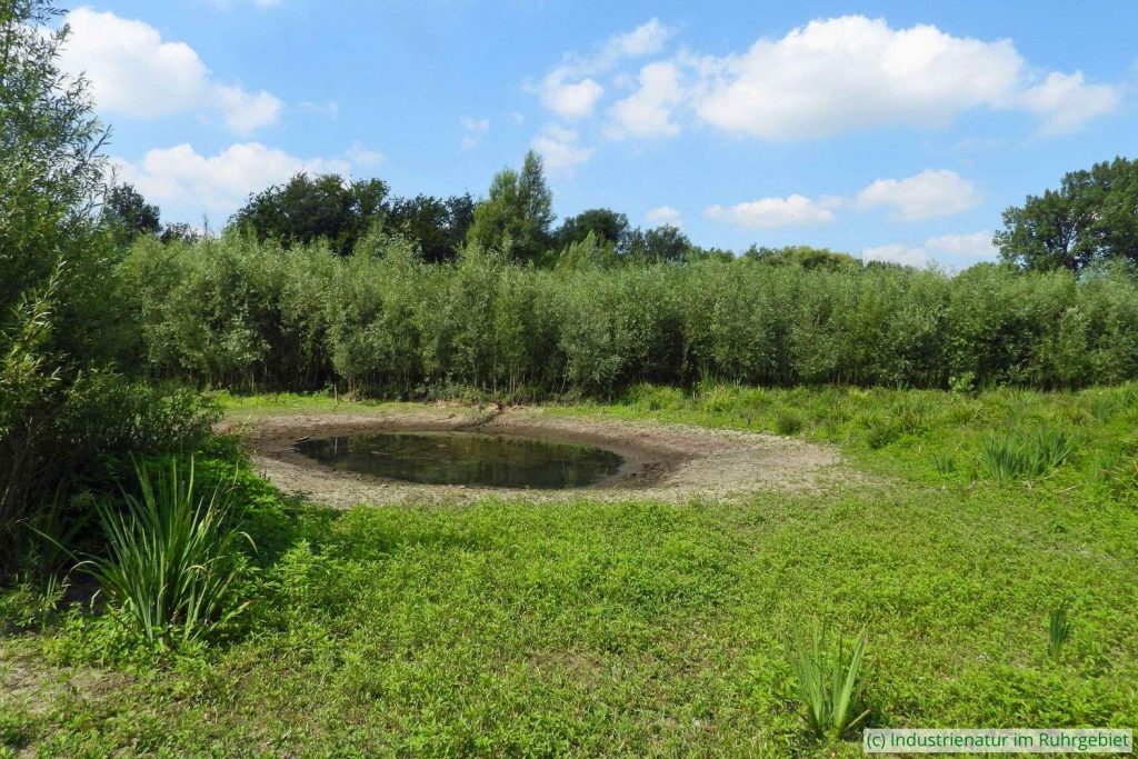 Beispiel 4: Mulde im Bergsenkungsgebiet Emscherbruch in Gelsenkirchen, 30.07.2022