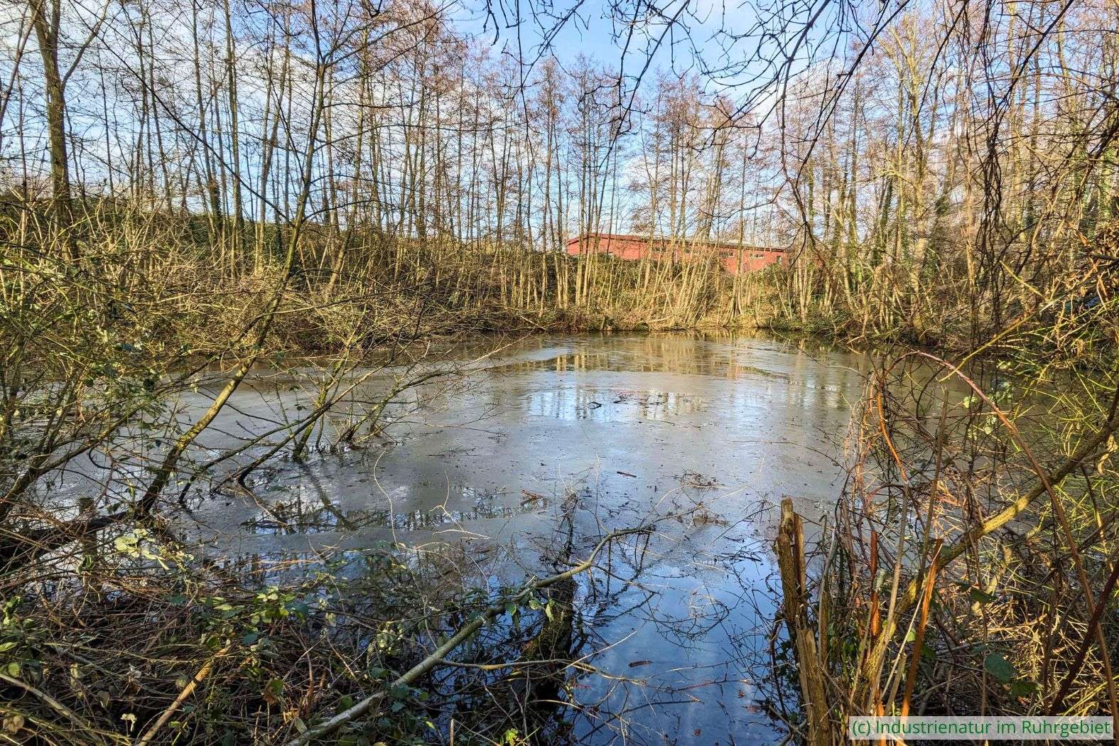 Ehemalige Halde in Essen-Kupferdreh, 23.01.2024