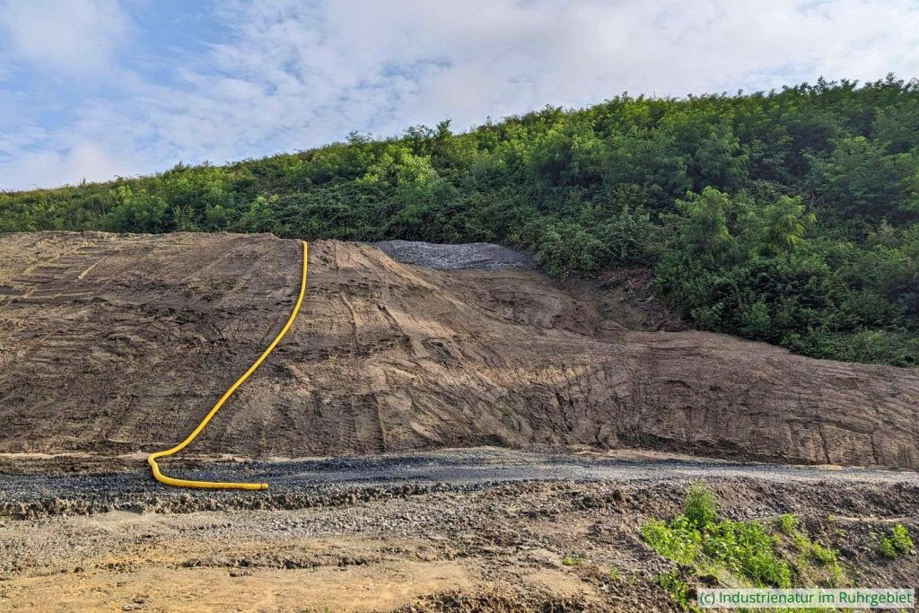 An der brennenden Halde Graft Moltke III/IV fanden im Sommer 2023 Arbeiten statt, 23.08.2023