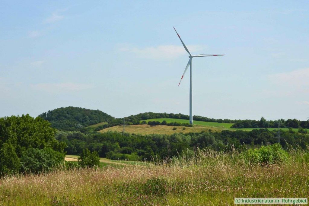 Blick auf die Halde Minister Achenbach in Lünen, 17.06.2025