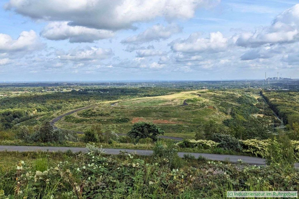 Blick auf die Halde Schöttelheide (Bottrop), im Hintergrund ist die Halde Oberscholven (Gelsenkirchen) zu sehen, 19.09.2023