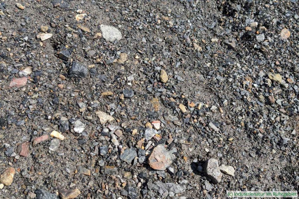 Bergematerial auf der Halde Rheinelbe, 25.02.2023