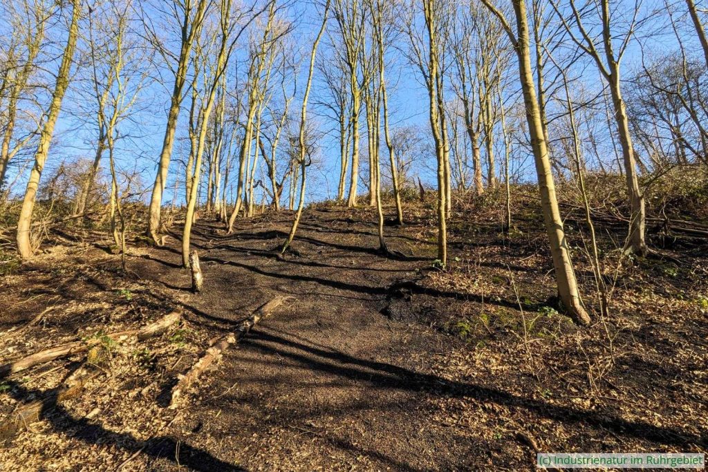 Zu sehen ist es nicht, doch es brennt im Inneren der Halde Rheinelbe, 02.02.2025