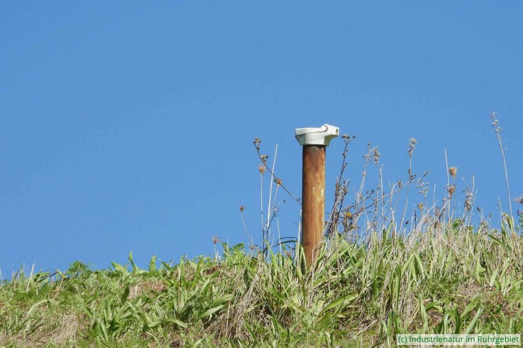 Messstelle auf der Halde Rungenberg, 24.09.2023