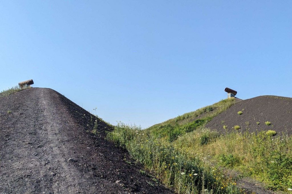 Bergematerial auf der Halde Rungenberg in Gelsenkirchen, 20.07.2024