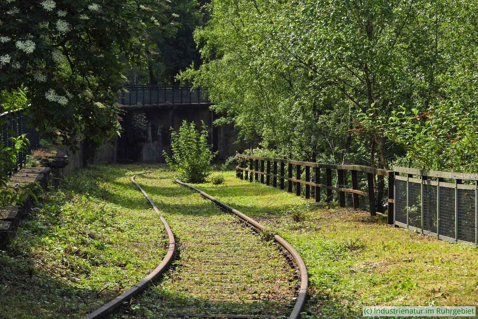 Stillgelegtes Gleis im Westpark Bochum, 27.05.2022