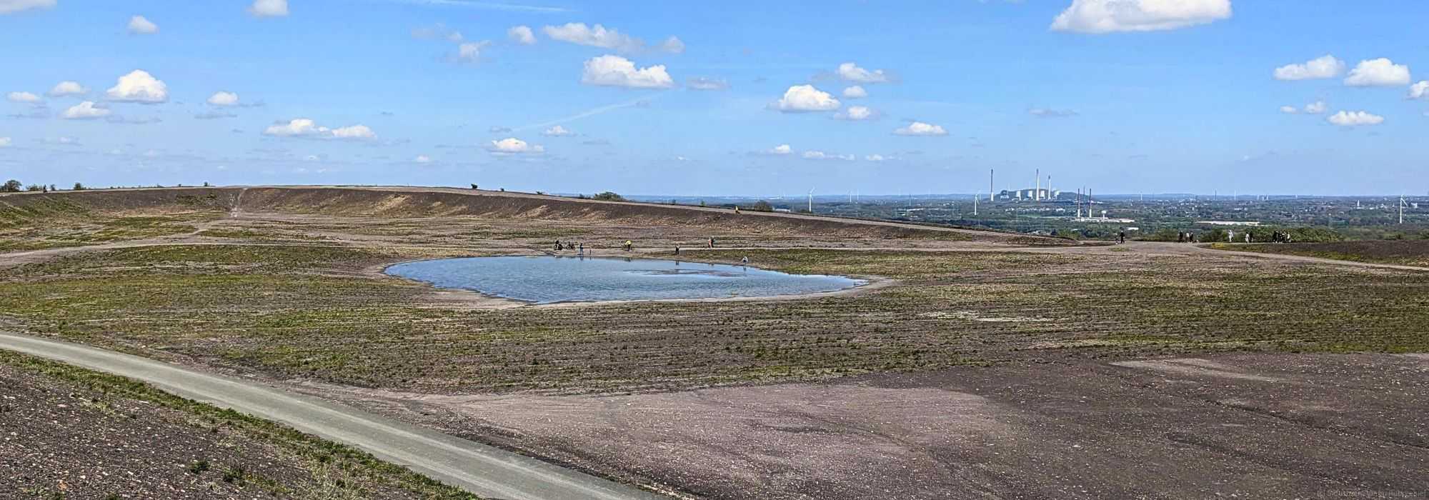 Pionierstandort auf der Halde Haniel, 30.04.2023
