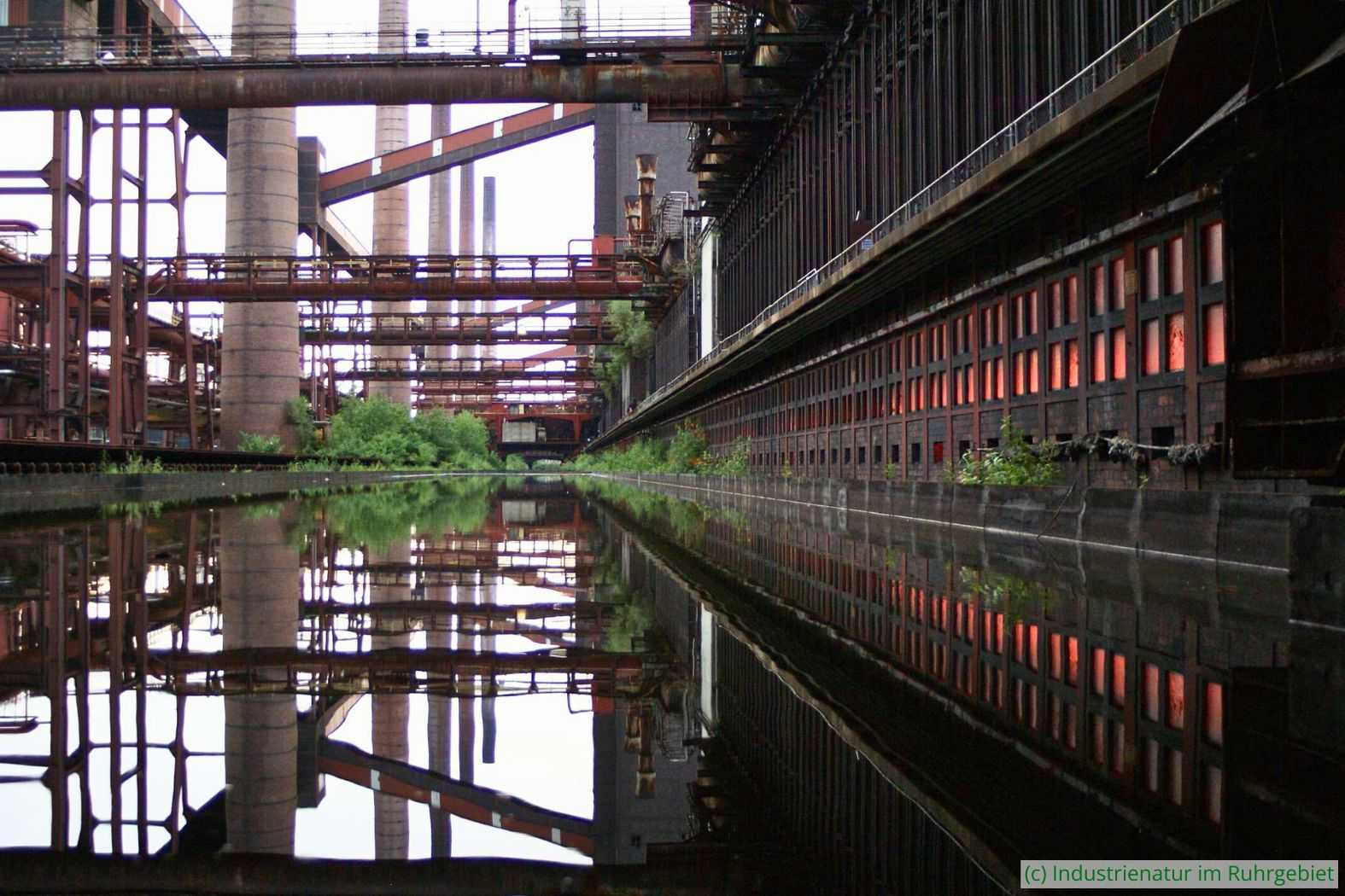 Das Becken der Kokerei Zollverein, 02.06.2007