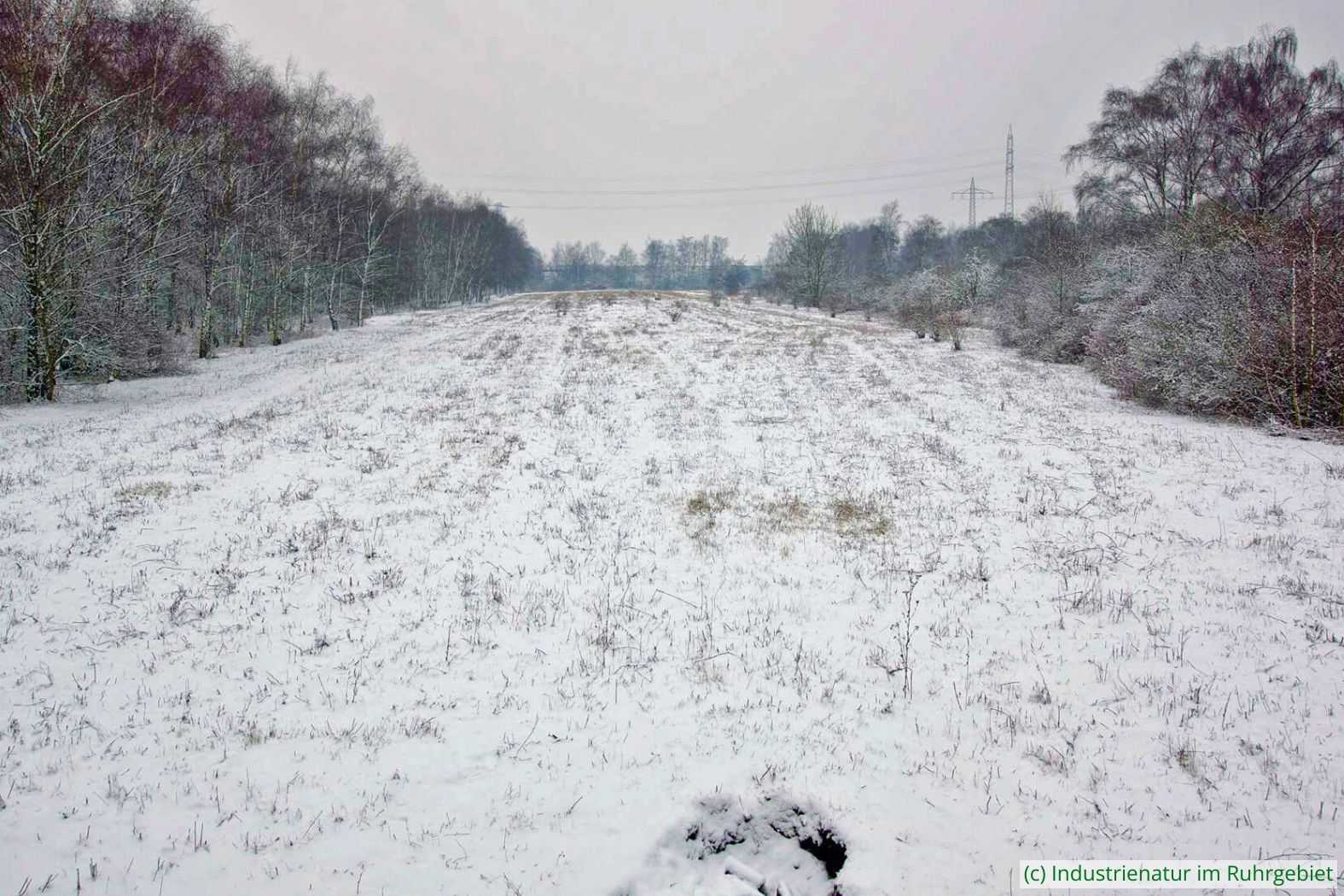 Die ehemalige Gleisharfe im Winter