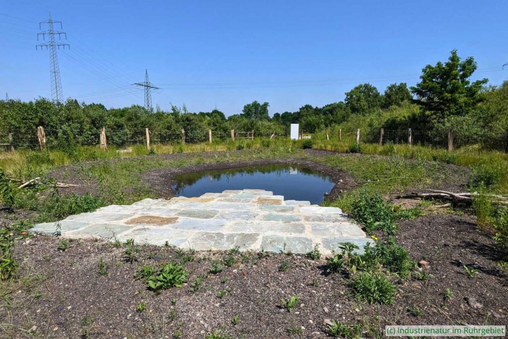 Blick auf das LELINA-Gewässer im Gleispark Frintrop, 09.06.2023