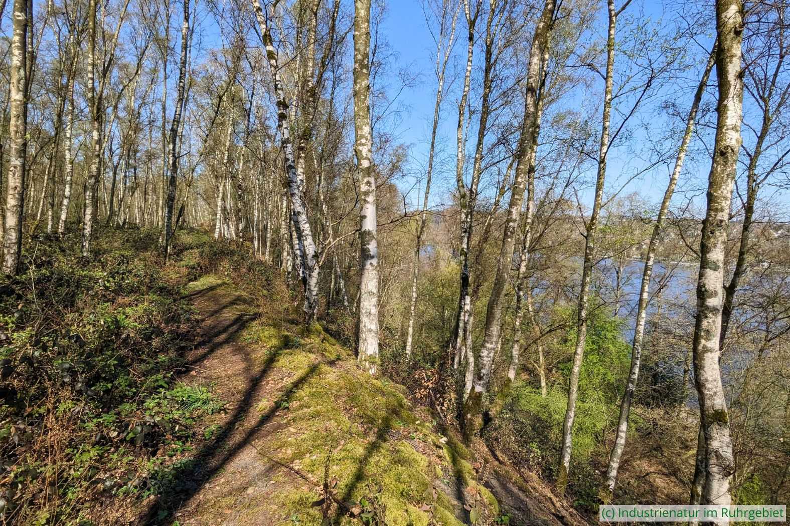Die Halde Pörtingsiepen am 05.04.2025