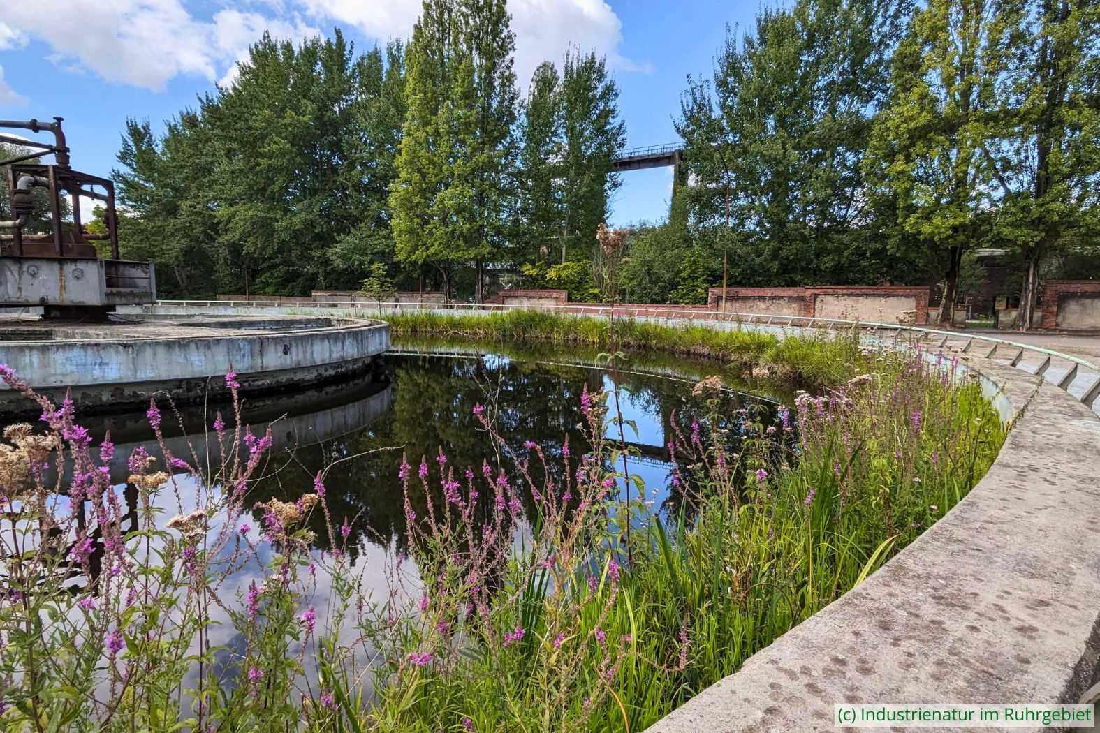 Rundklärbecken im Landschaftspark Duisburg-Nord, 24.08.2025