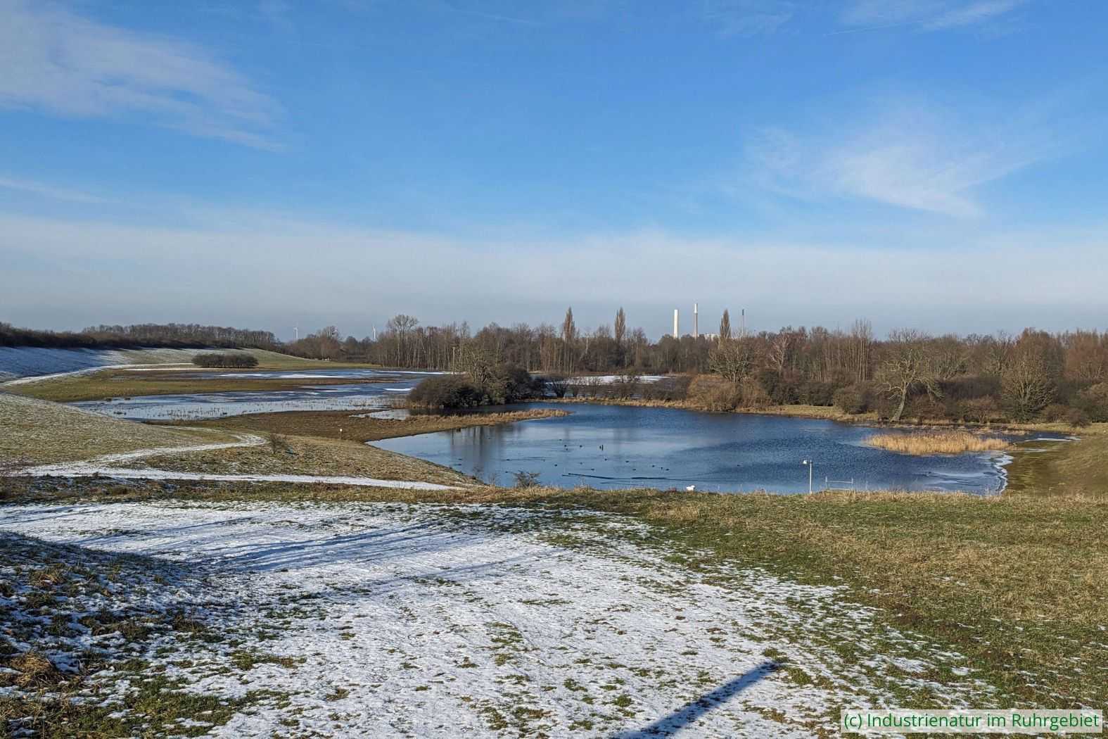 Bergsenkungsgewässer in der Rheinaue Walsum, 20.01.2024