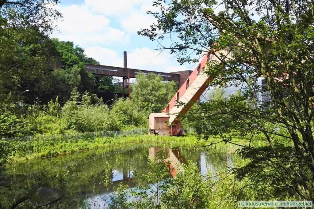 Gewässer südlich des Portalkratzers, UNESCO-Welterbe Zollverein, 18.06.2017