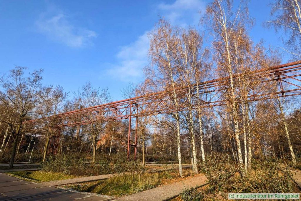 Nördliche Gleisharfe, UNESCO-Welterbe Zollverein, 17.12.2022