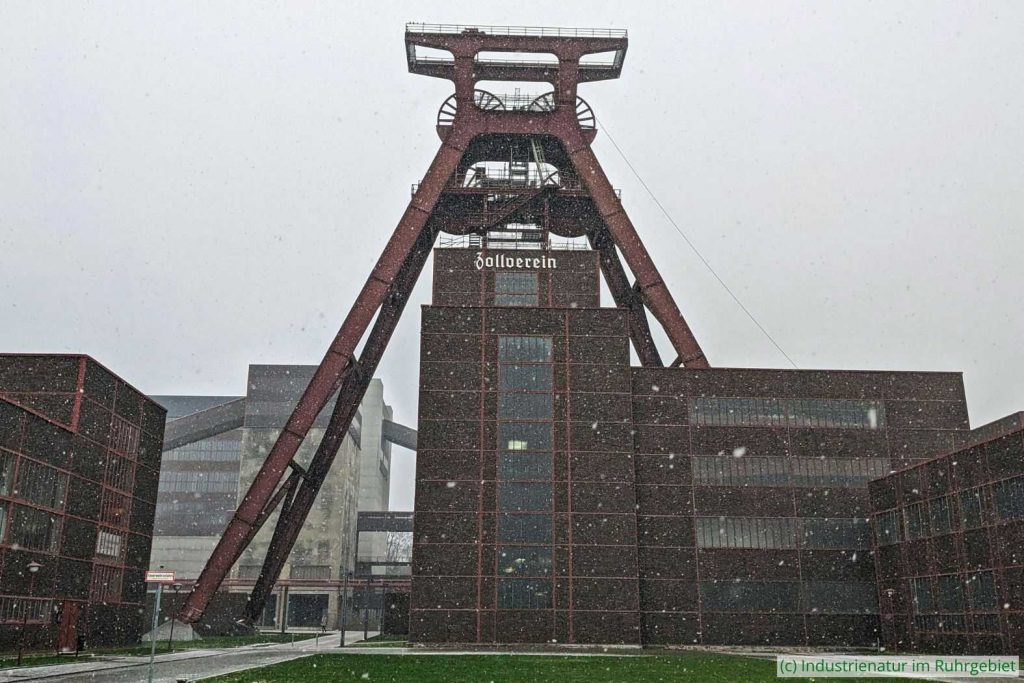 Vor allem im zentralen Ruhrgebiet schneit es relativ selten, 17.01.2024