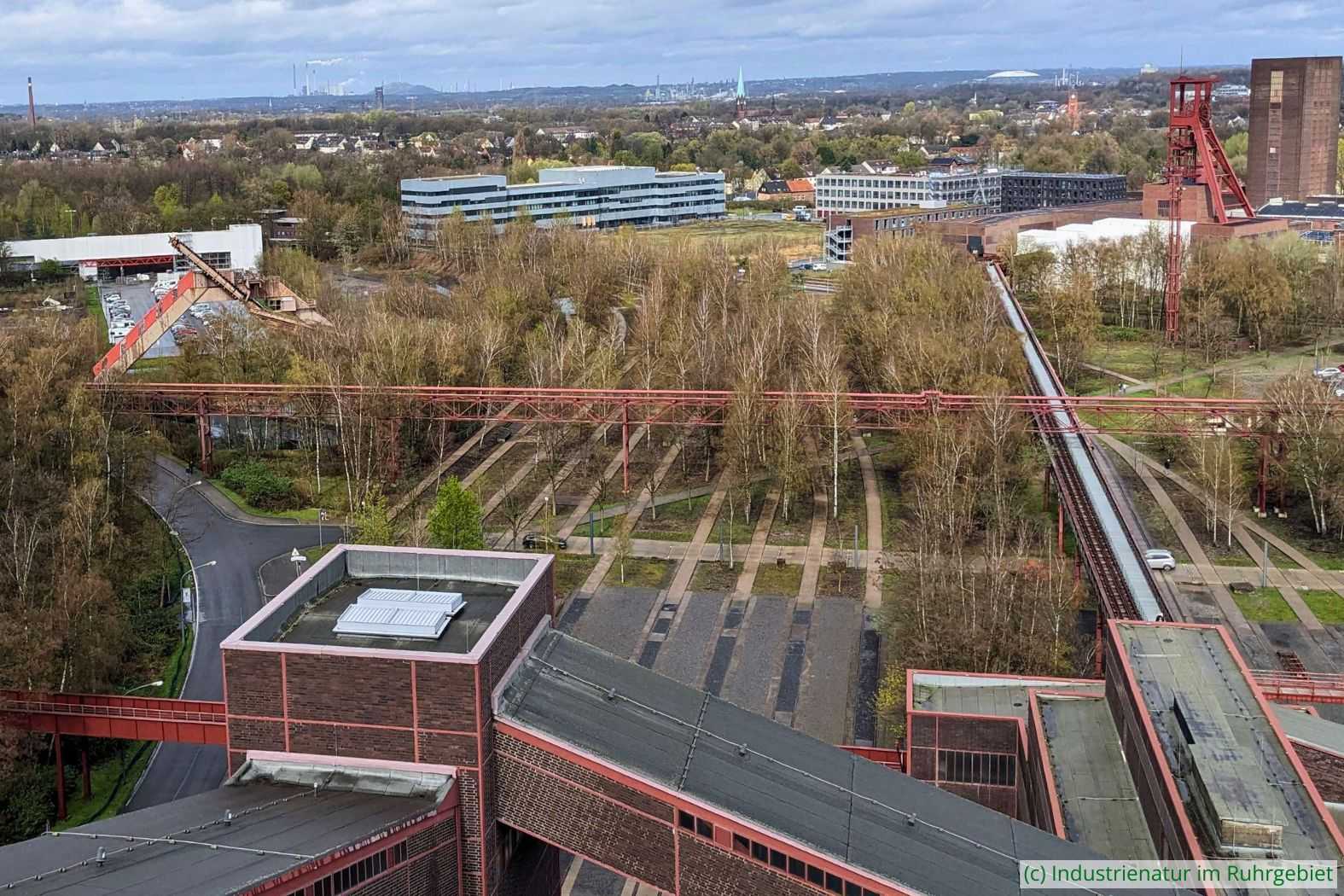 Blick auf die nördliche Gleisharfe, UNESCO-Welterbe Zollverein, 24.03.2024