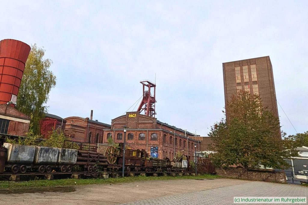 Strebengerüst auf Schacht 1 (Bildmitte) und Förderturm auf Schacht 2 (rechts), UNESCO-Welterbe Zollverein, 20.10.2024