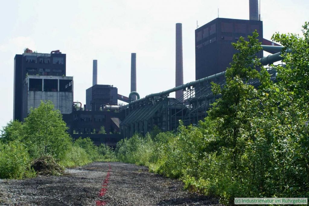 Blick auf die Nordseite der Kokerei Zollverein, 06.06.2007