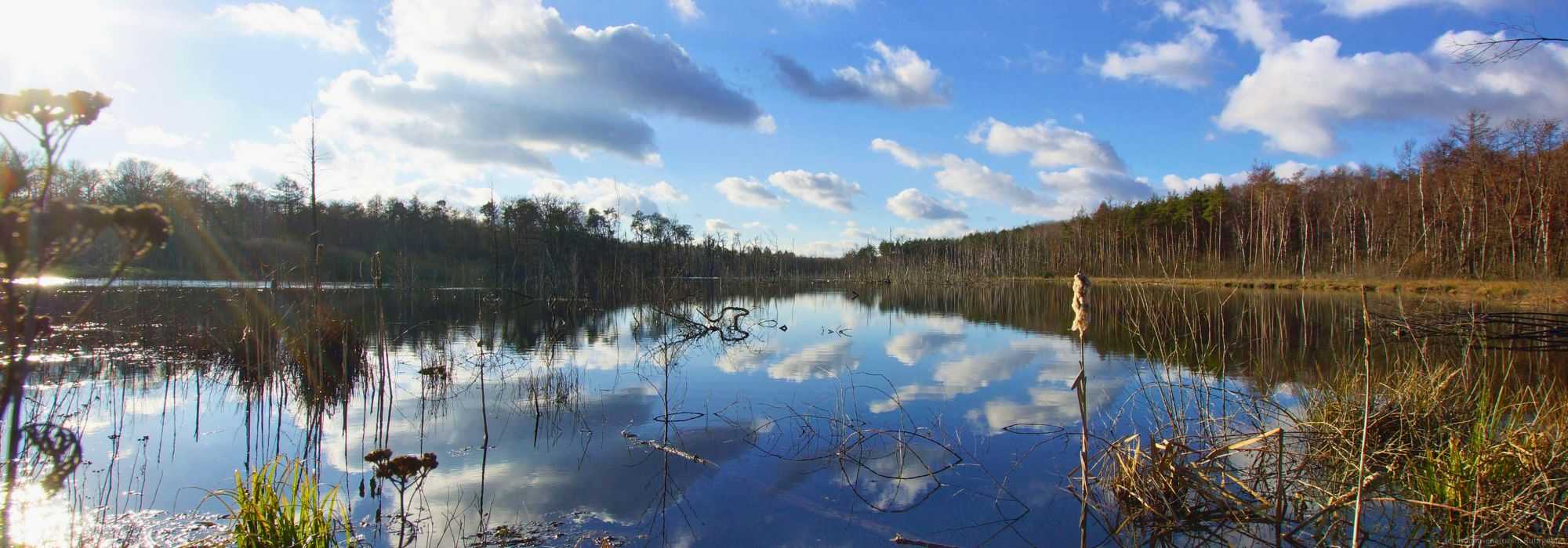 Der Elsbachsee am 24.12.2018