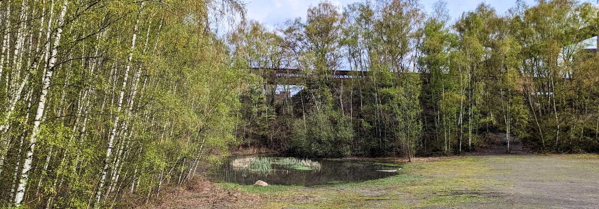 Artenschutzgewässer auf der Halde, UNESCO-Welterbe Zollverein, 17.04.2023