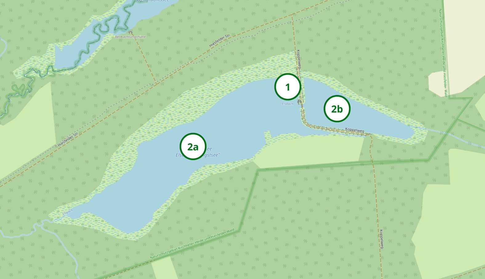 1. Uferbereich
2. Totholz im Wasser

Basierend auf einer Landkarte © OpenStreetMap-Beitragende