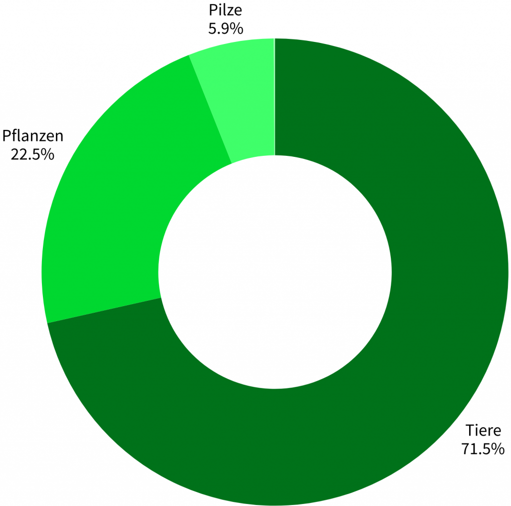 Artengruppenstatistik Gleispark Frintrop