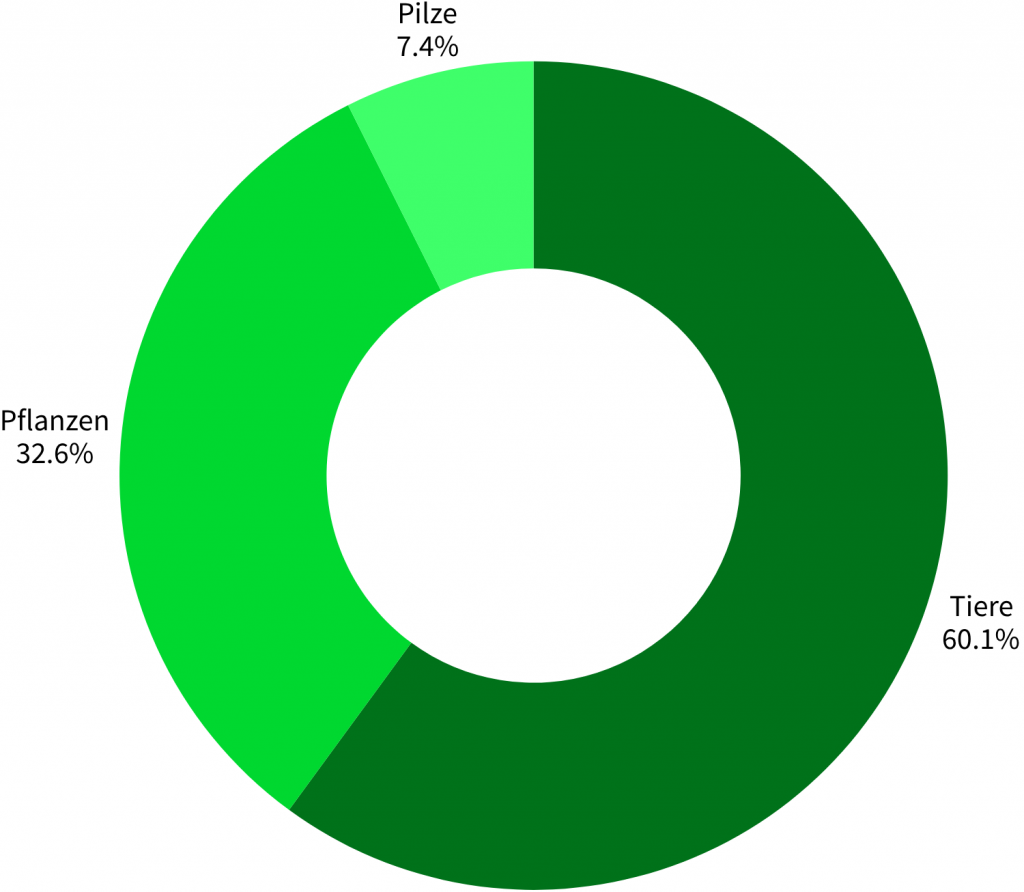 Artengruppenstatistik Kirchheller Heide