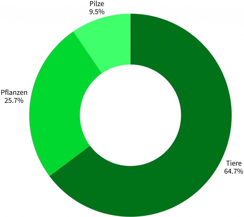 Artengruppenstatistik Zollverein