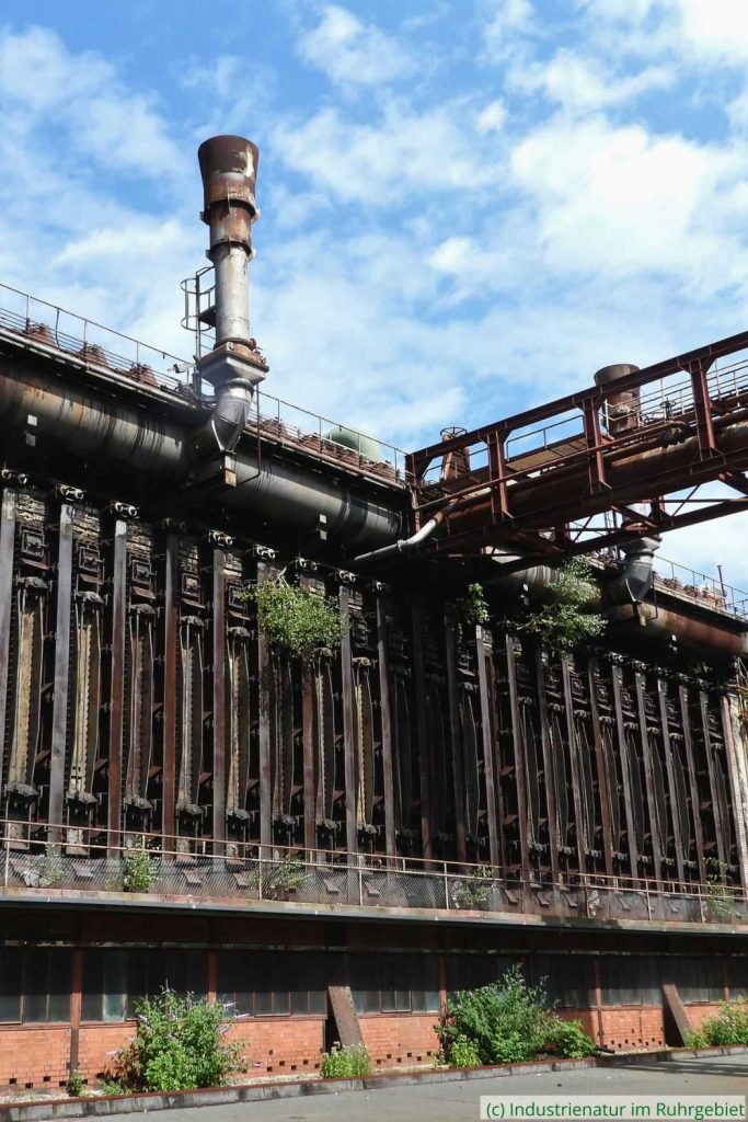 Koksbatterie der Kokerei Zollverein, UNESCO-Welterbe Zollverein, 21.08.2023