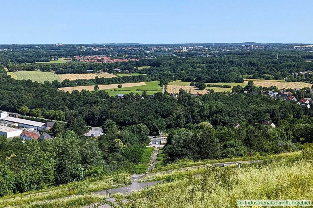 Der Blick in Richtung Recklinghausen und Oer-Erkenschwick zeigt: das Ruhrgebiet hat viel Vegetationsfläche, Halde Hoheward, 20.06.2025