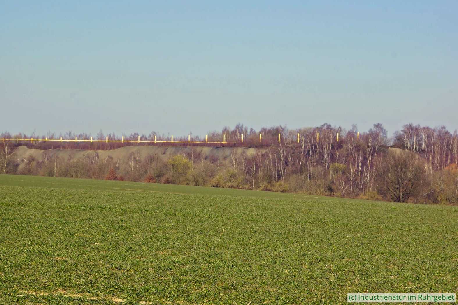 Blick auf die Gerther Südwand, Halde Lothringen, 17.03.2016
