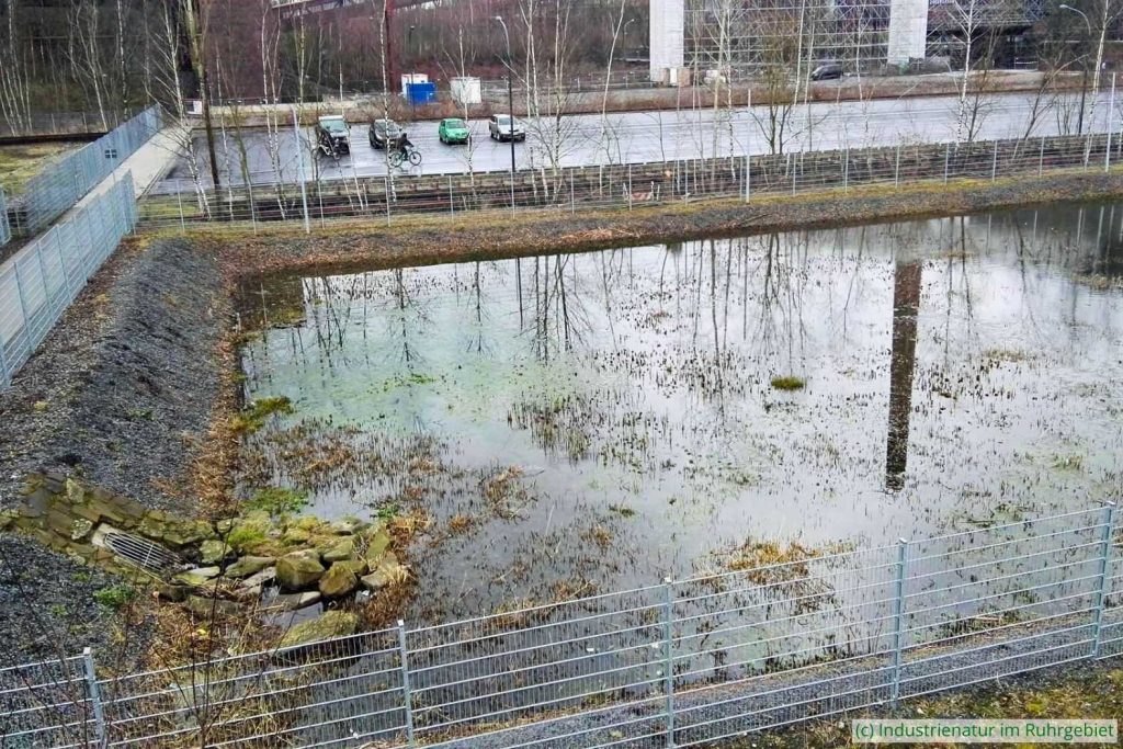 Das Gewässer neben Parkplatz C im Winter, UNESCO-Welterbe Zollverein, 28.01.2018