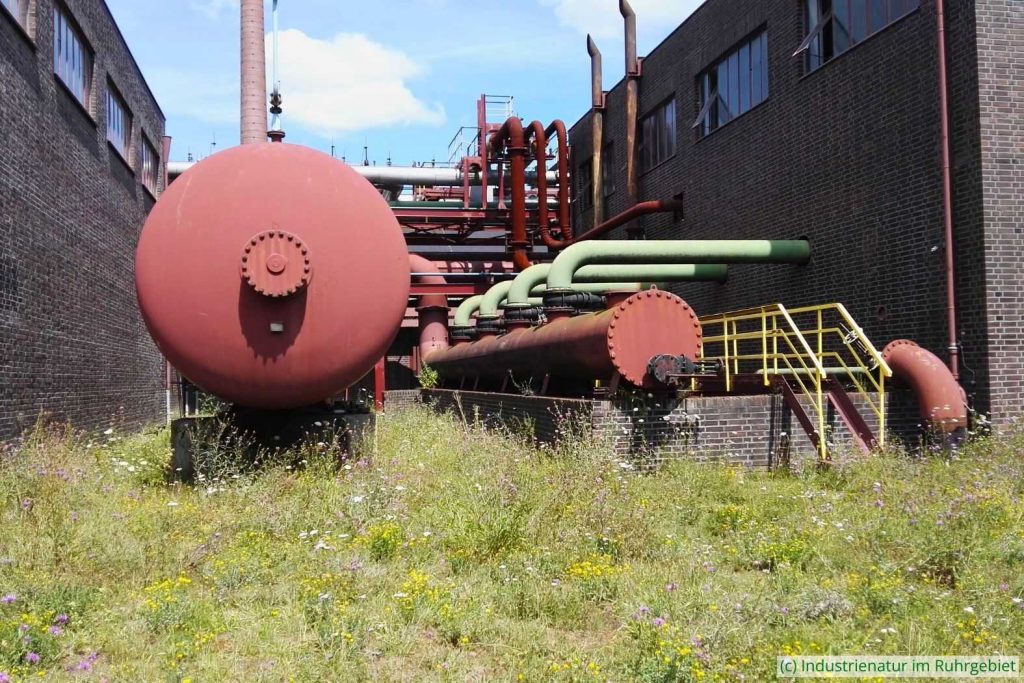 Teilbereich des Kammgebäudes, UNESCO-Welterbe Zollverein, 22.07.2020
