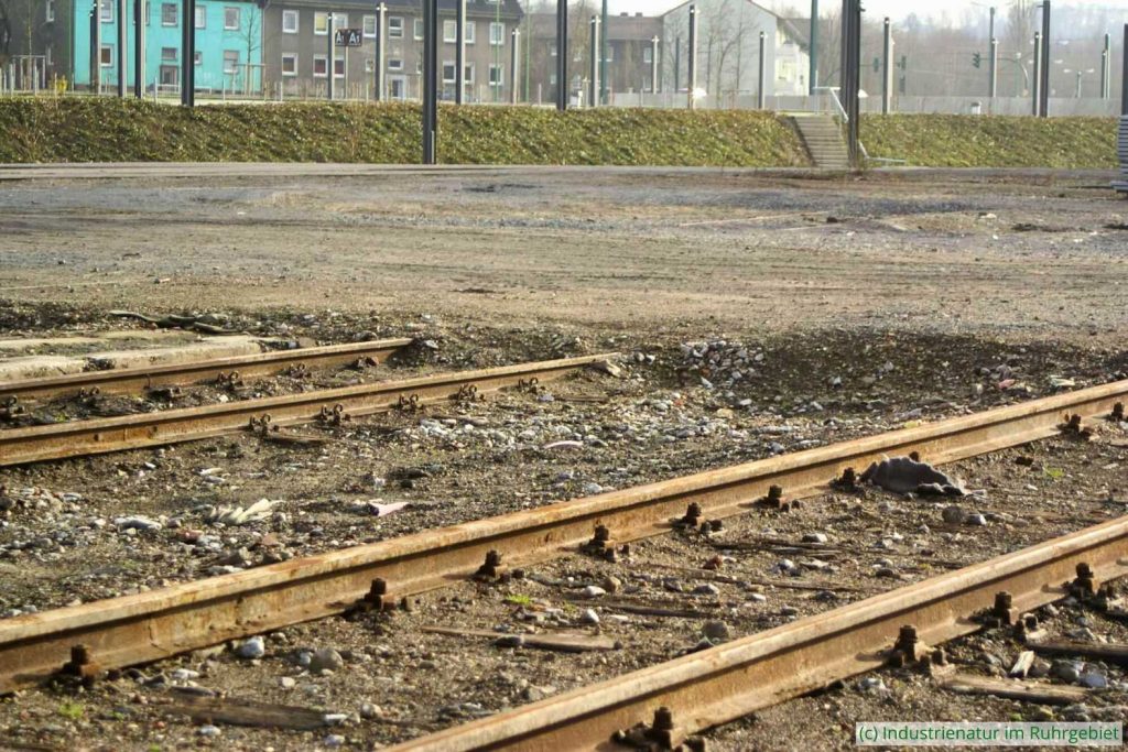 Gleise der südlichen Gleisharfe vor ihrem Rückbau, UNESCO-Welterbe Zollverein, 07.02.2007