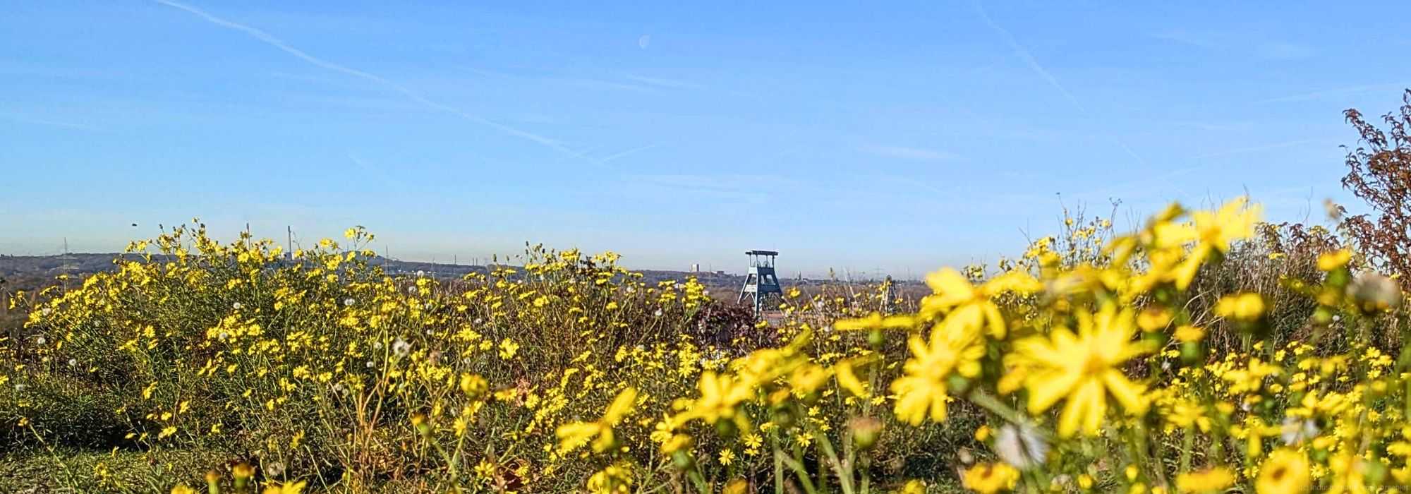 Blick auf das Fördergerüst der Zeche Ewald in Herten, aufgenommen von der Halde Hoheward aus am 13.11.2022.