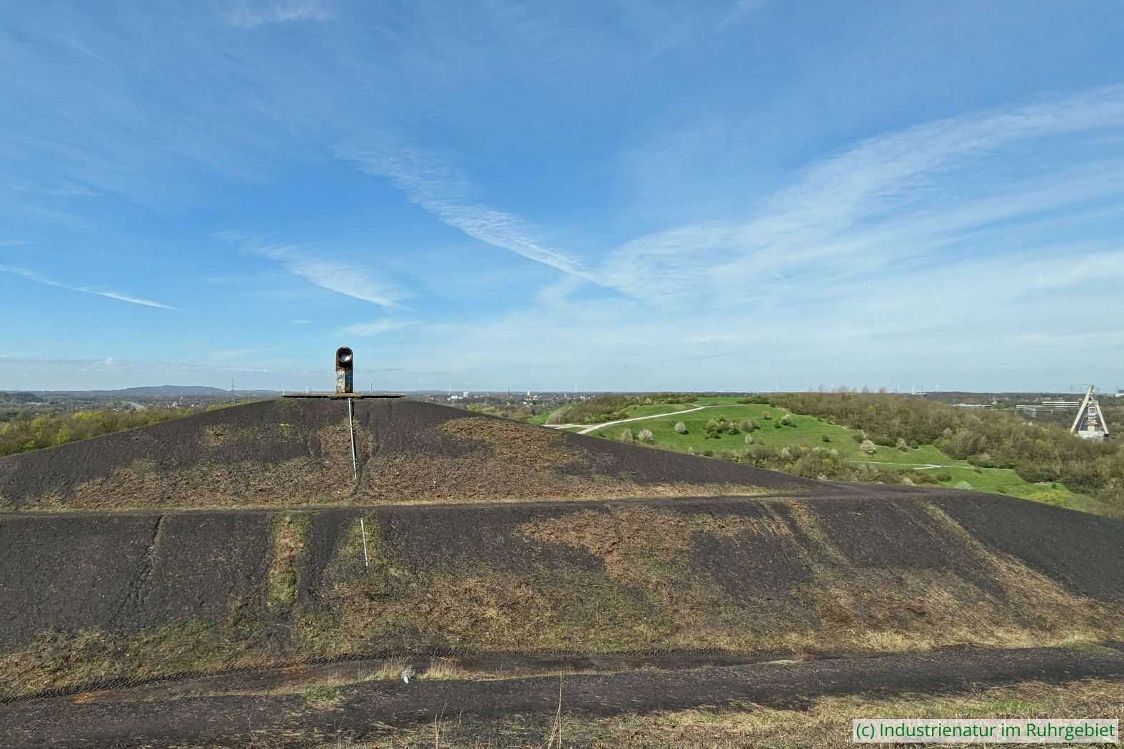 Auf der Halde Rungenberg, 31.03.2024