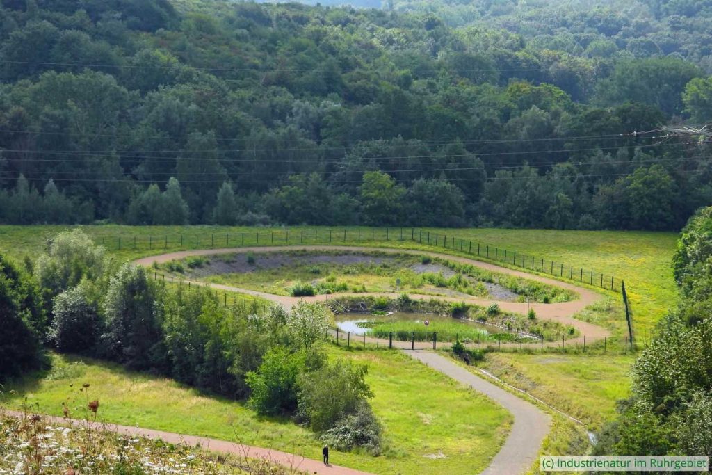 5b: Südliches Rückhaltebecken der Mottbruchhalde, 05.08.2023