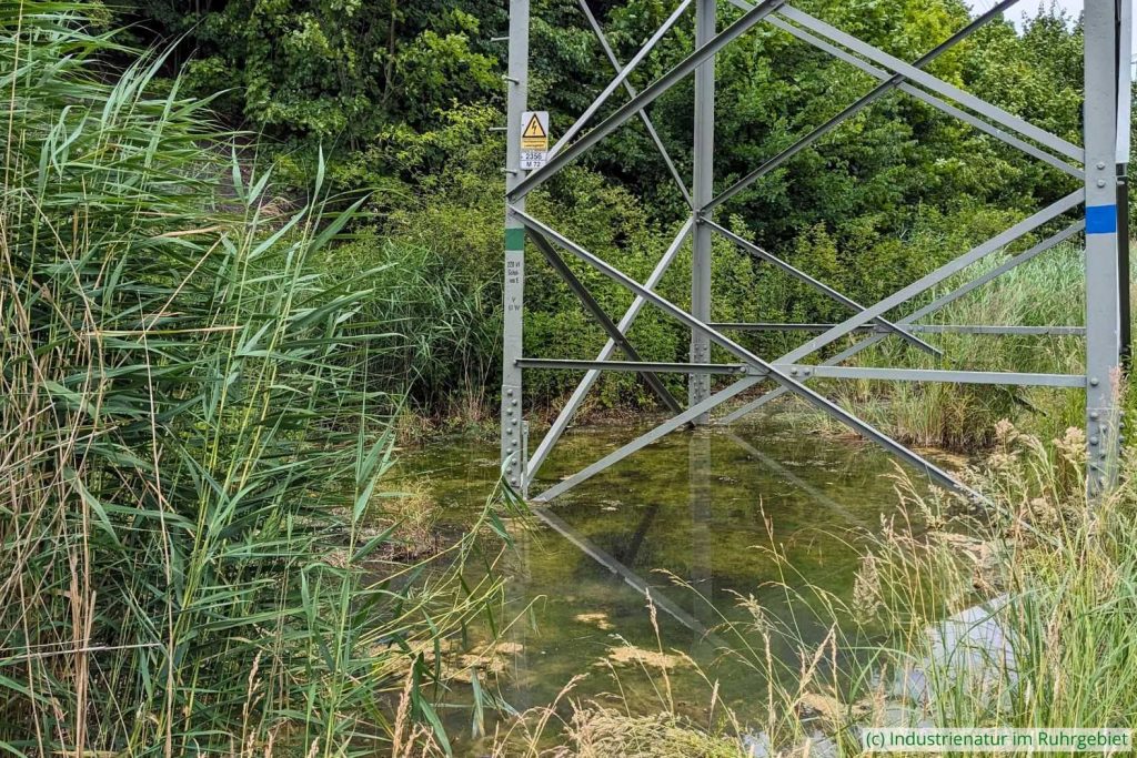Kleines, nicht eingezäuntes Rückhaltebecken am südöstlichen Haldenfuß der Mottbruchhalde, 24.06.2025